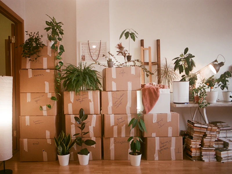 Labelled cardboard moving boxes packed and stacked in a home living room